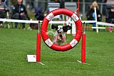Royal Canin Masters 2025 geldrop