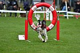 Royal Canin Masters 2025 geldrop