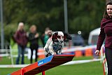Royal Canin Masters 2025 geldrop