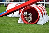 Royal Canin Masters 2025 geldrop