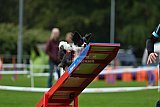 Royal Canin Masters 2025 geldrop