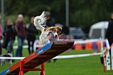 Royal Canin Masters 2025 geldrop