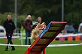 Royal Canin Masters 2025 geldrop