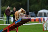 Royal Canin Masters 2025 geldrop