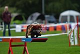 Royal Canin Masters 2025 geldrop