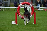Royal Canin Masters 2025 geldrop