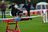 Royal Canin Masters 2025 geldrop