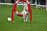 Royal Canin Masters 2025 geldrop