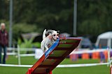 Royal Canin Masters 2025 geldrop