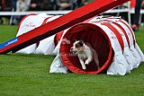Royal Canin Masters 2025 geldrop