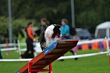Royal Canin Masters 2025 geldrop