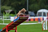 Royal Canin Masters 2025 geldrop