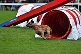 Royal Canin Masters 2025 geldrop