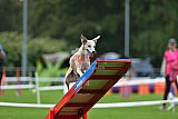 Royal Canin Masters 2025 geldrop