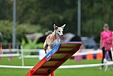 Royal Canin Masters 2025 geldrop