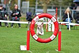 Royal Canin Masters 2025 geldrop