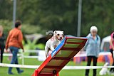 Royal Canin Masters 2025 geldrop