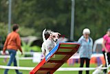Royal Canin Masters 2025 geldrop