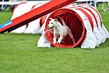 Royal Canin Masters 2025 geldrop