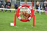 Royal Canin Masters 2025 geldrop