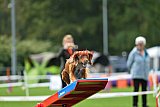 Royal Canin Masters 2025 geldrop