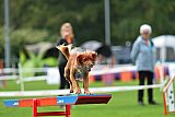 Royal Canin Masters 2025 geldrop