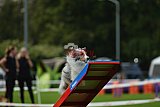 Royal Canin Masters 2025 geldrop