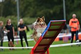 Royal Canin Masters 2025 geldrop