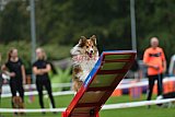 Royal Canin Masters 2025 geldrop