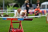 Royal Canin Masters 2025 geldrop