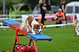 Royal Canin Masters 2025 geldrop
