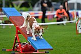 Royal Canin Masters 2025 geldrop