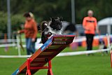 Royal Canin Masters 2025 geldrop