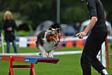Royal Canin Masters 2025 geldrop