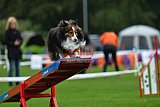 Royal Canin Masters 2025 geldrop