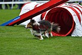 Royal Canin Masters 2025 geldrop