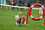 Royal Canin Masters 2025 geldrop