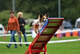 Royal Canin Masters 2025 geldrop