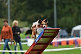 Royal Canin Masters 2025 geldrop