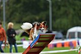 Royal Canin Masters 2025 geldrop
