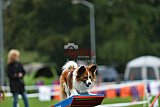 Royal Canin Masters 2025 geldrop