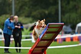 Royal Canin Masters 2025 geldrop