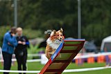 Royal Canin Masters 2025 geldrop