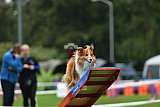 Royal Canin Masters 2025 geldrop