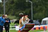 Royal Canin Masters 2025 geldrop