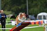 Royal Canin Masters 2025 geldrop
