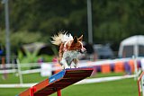 Royal Canin Masters 2025 geldrop