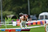 Royal Canin Masters 2025 geldrop
