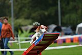Royal Canin Masters 2025 geldrop