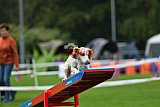 Royal Canin Masters 2025 geldrop